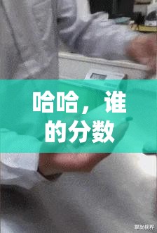 雾里看花