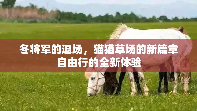 冬将军的退场，猫猫草场的新篇章自由行的全新体验