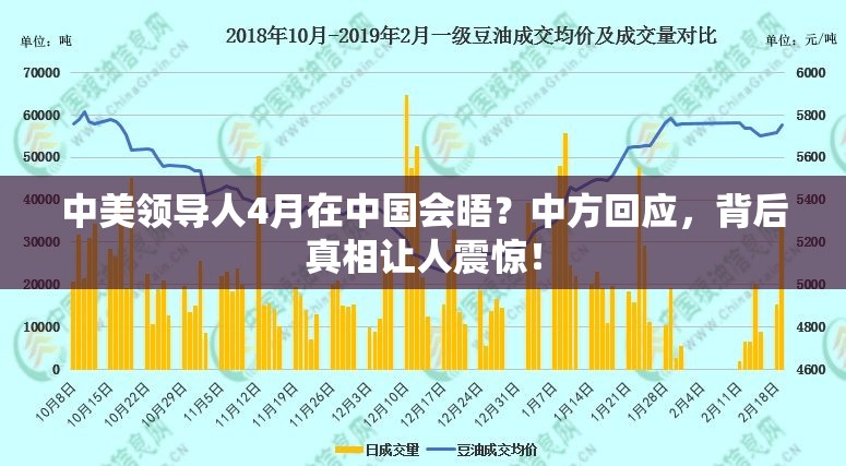 中美领导人4月在中国会晤?中方回应