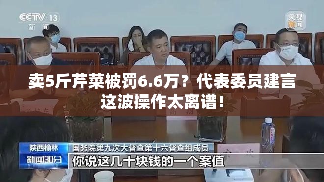 卖5斤芹菜被罚6.6万？代表委员建言这波操作太离谱！