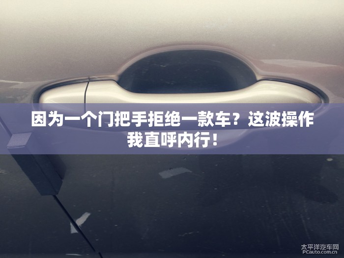 因为一个门把手拒绝一款车？这波操作我直呼内行！