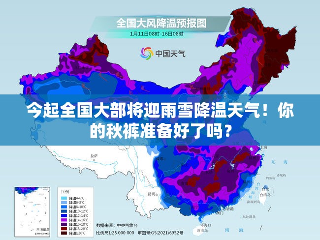 2025年3月 第65页