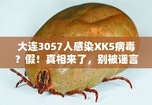 大连3057人感染XK5病毒？假！真相来了，别被谣言带节奏！