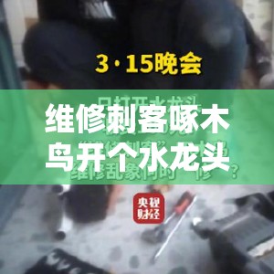 维修刺客啄木鸟开个水龙头收100，这波操作太离谱！