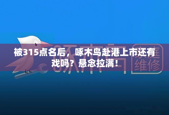 被315点名后，啄木鸟赴港上市还有戏吗？悬念拉满！