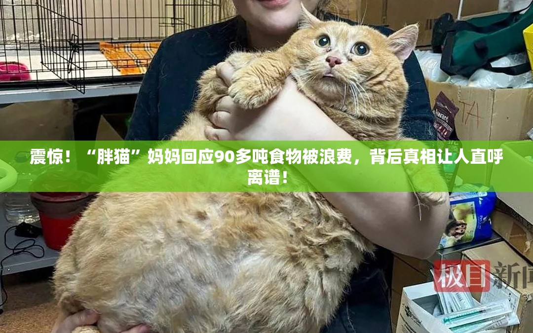 “胖猫”妈妈回应90多吨食物被浪费