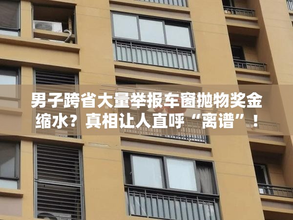 男子跨省大量举报车窗抛物奖金缩水