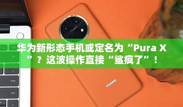 华为新形态手机或定名为“Pura X”