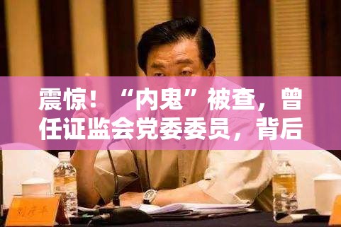 “内鬼”被查 曾任证监会党委委员