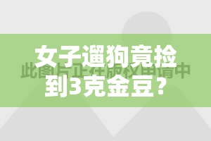 女子遛狗竟捡到3克金豆？狗爪夹金，网友这波操作太秀了！