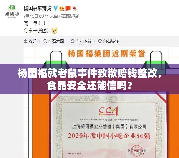 杨国福就老鼠事件致歉赔钱整改，食品安全还能信吗？