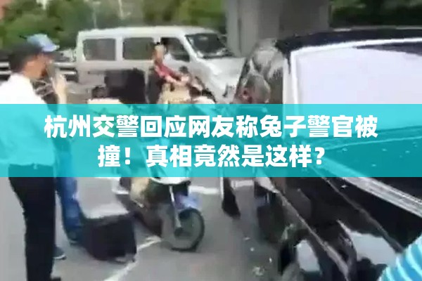 杭州交警回应网友称兔子警官被撞！真相竟然是这样？