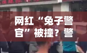 网红“兔子警官”被撞？警方辟谣！真相竟是这样...