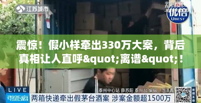 震惊！假小样牵出330万大案，背后真相让人直呼"离谱"！