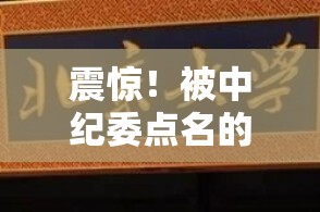 震惊！被中纪委点名的李软萍官宣落马，背后真相令人瞠目结舌！